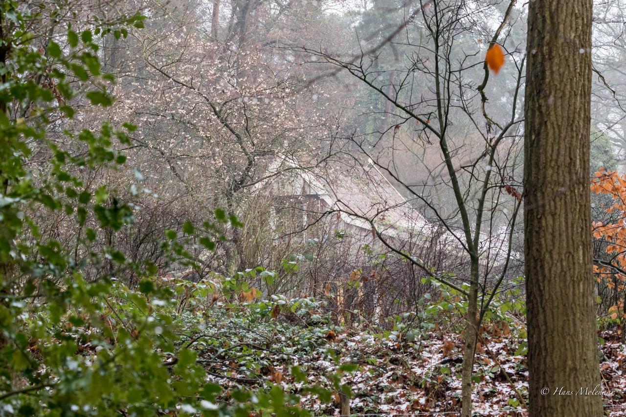 De Hagmolenbeek Boekelo Villa Dış mekan fotoğraf